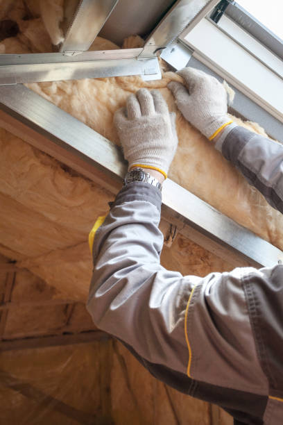 Best Crawl Space Insulation  in Mickleton, NJ