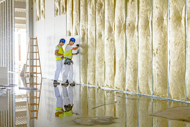 Best Insulation Replacement  in Mickleton, NJ